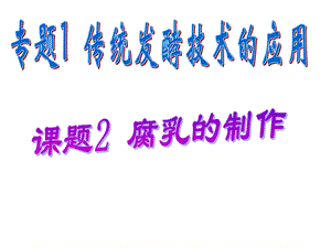 腐乳的制作原理及过程.ppt