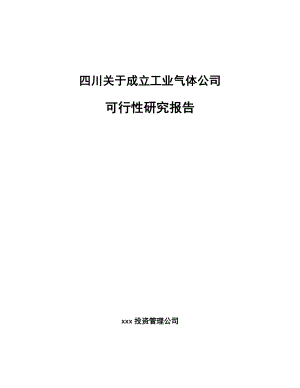 四川关于成立工业气体公司可行性研究报告.docx