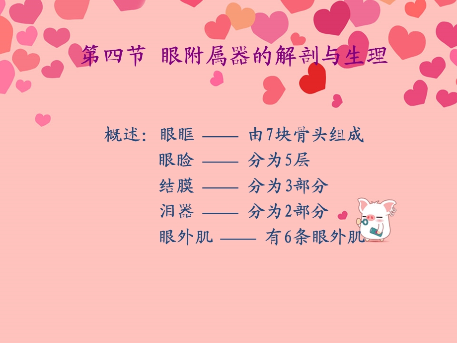 眼附属器的解剖.ppt_第2页