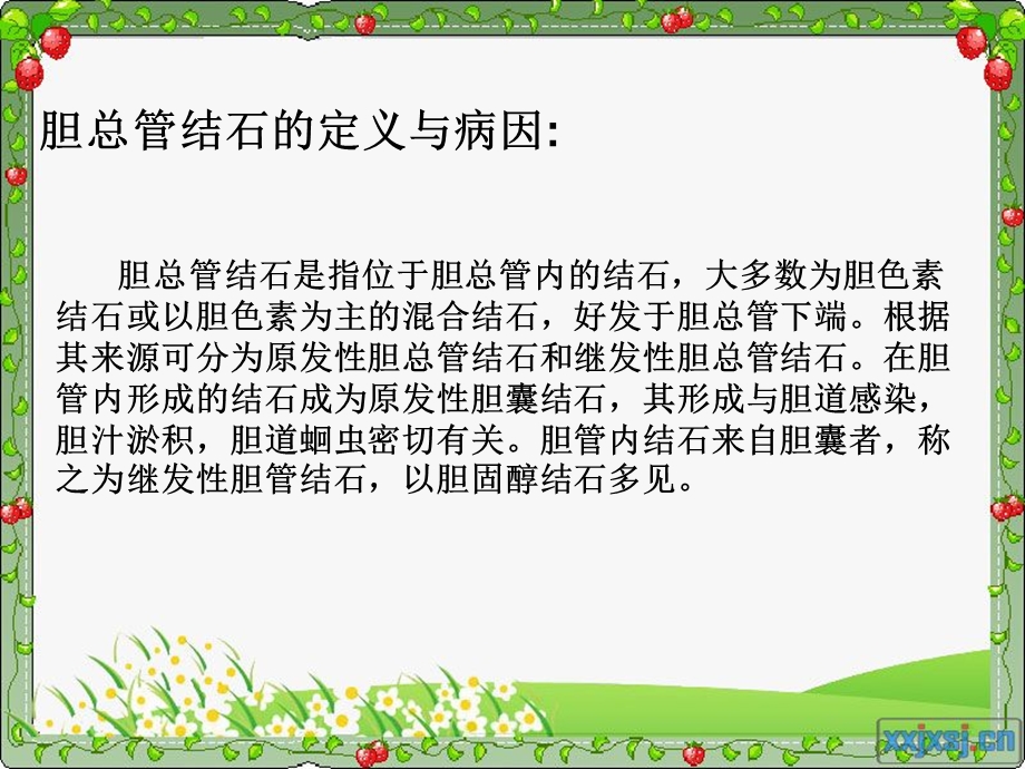 胆总管结石术后护理.ppt_第3页