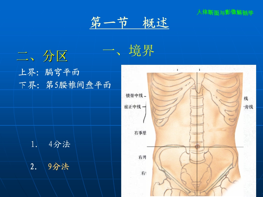 腹部断层影像解剖学.ppt_第3页