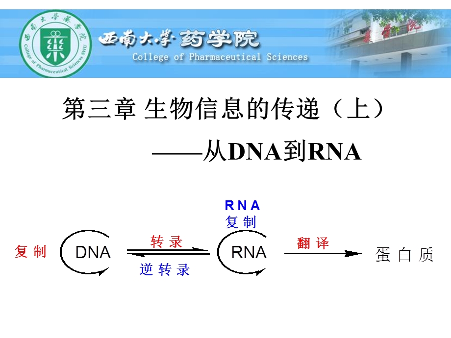 现代分子生物学课件3生物信息的传递上.ppt_第1页