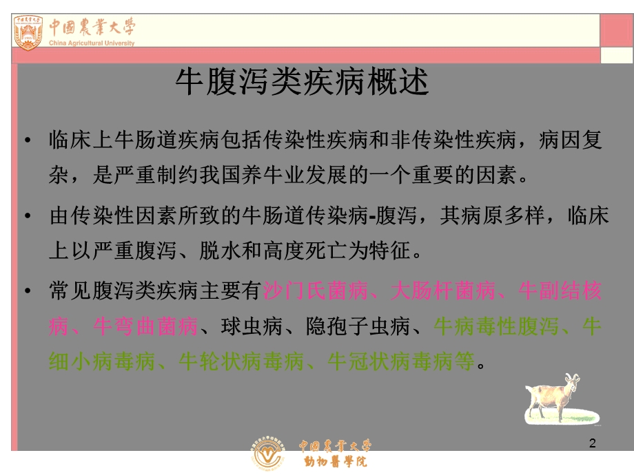 牛肠道疾病的一种新病原鉴定.ppt_第2页