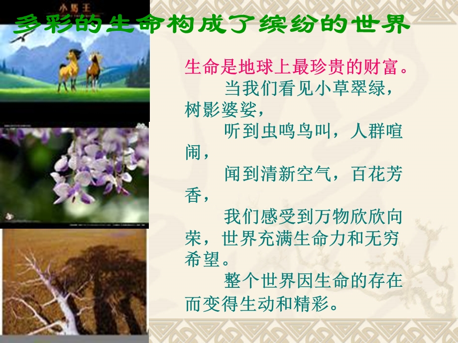 珍惜生命健康成长.ppt_第2页