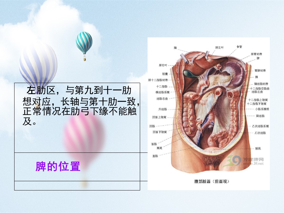 脾破裂的护理查房.ppt_第3页