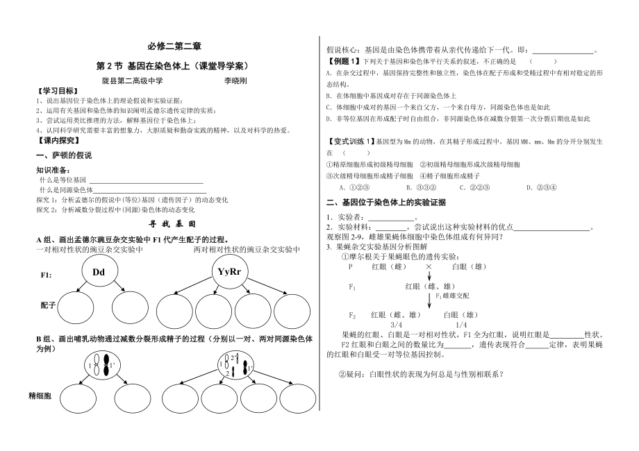 第2节基因在染色体上课堂导学案.doc_第1页