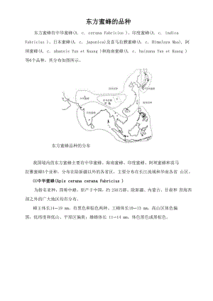 东方蜜蜂的品种.docx