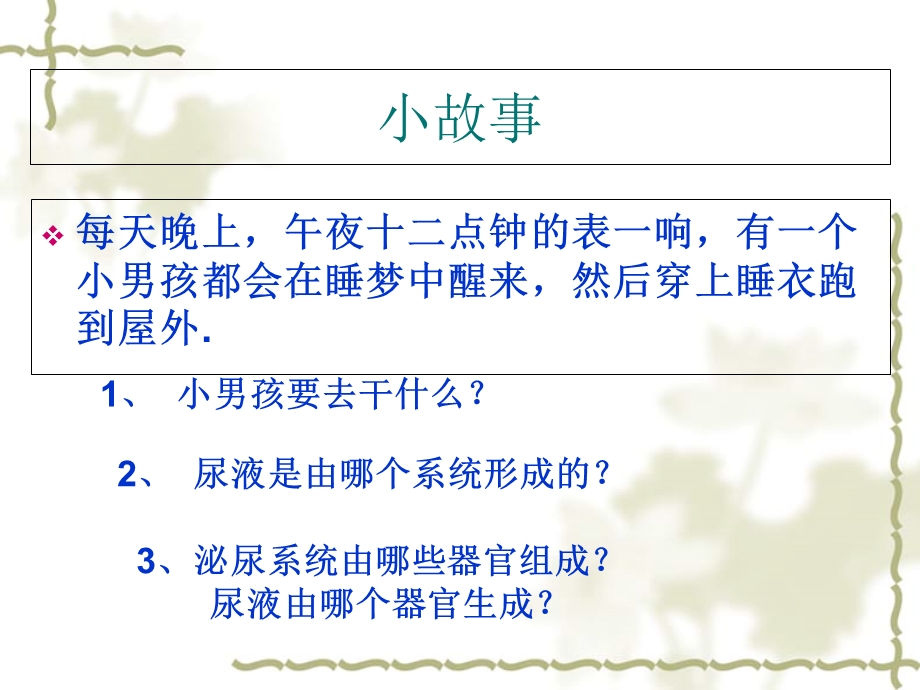 猪的内脏：泌尿系统.ppt_第2页