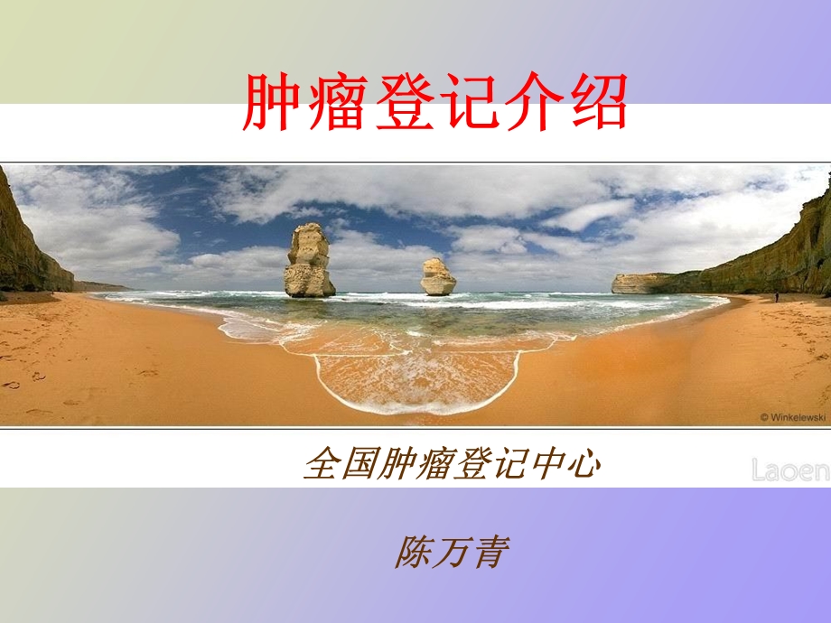 肿瘤登记介绍.ppt_第2页