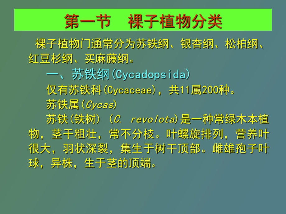 种子植物分类.ppt_第2页