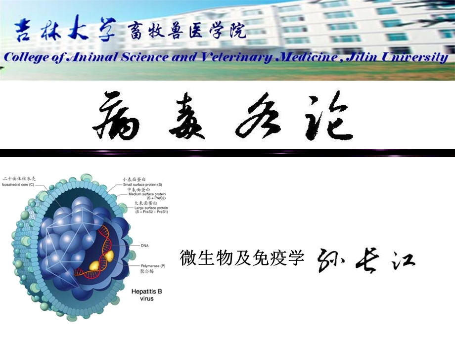 畜牧微生物学畜牧微生物病毒学各论.ppt_第1页