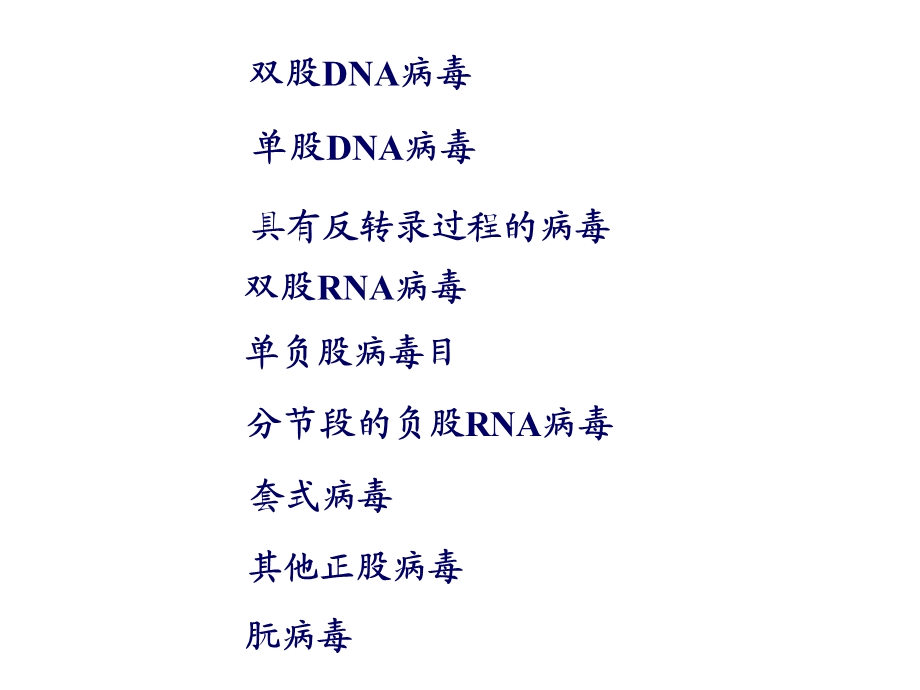 畜牧微生物学畜牧微生物病毒学各论.ppt_第2页