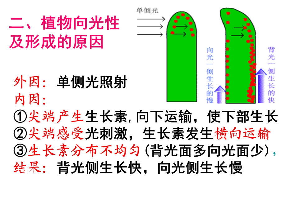 生长素的生理作用.ppt_第1页