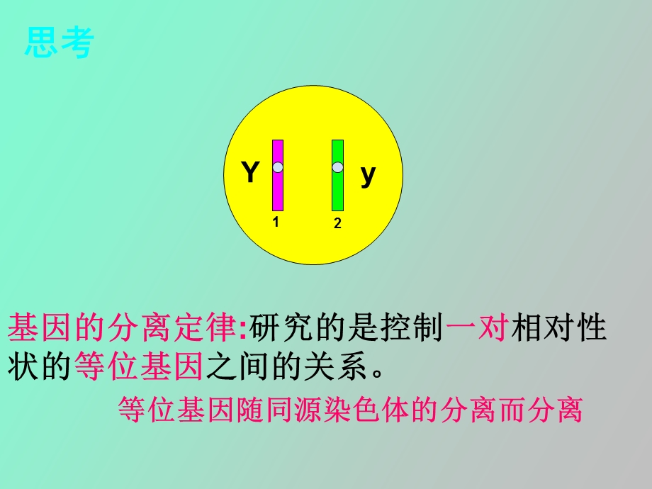 自由组合规律的实质与应用.ppt_第2页