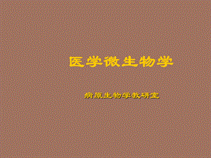 细菌的形态学.ppt