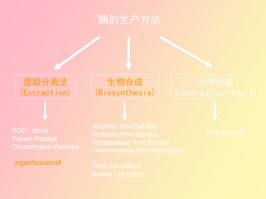 药用酶的生产技术.ppt_第1页