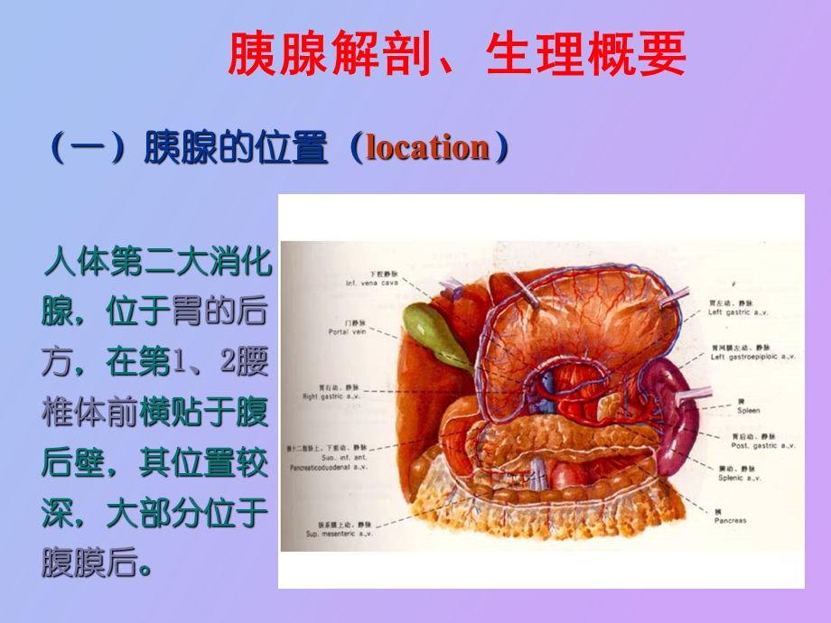 胰腺癌的护理.ppt_第2页