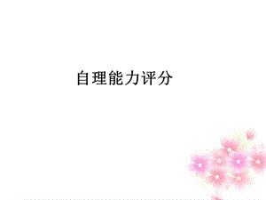 自理能力评分.ppt