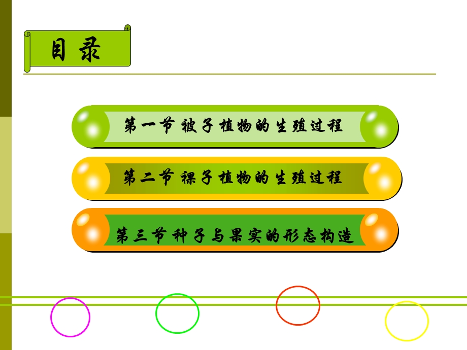 种子植物的生殖过程.ppt_第2页