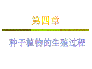 种子植物的生殖过程.ppt