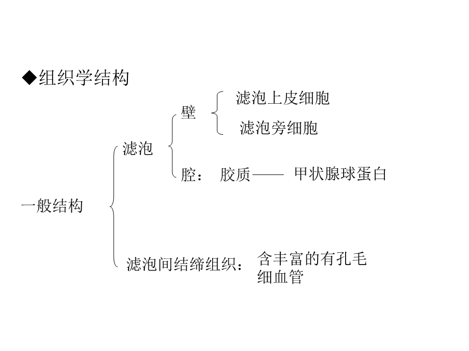 甲状腺的解剖和组织学结构.ppt_第3页