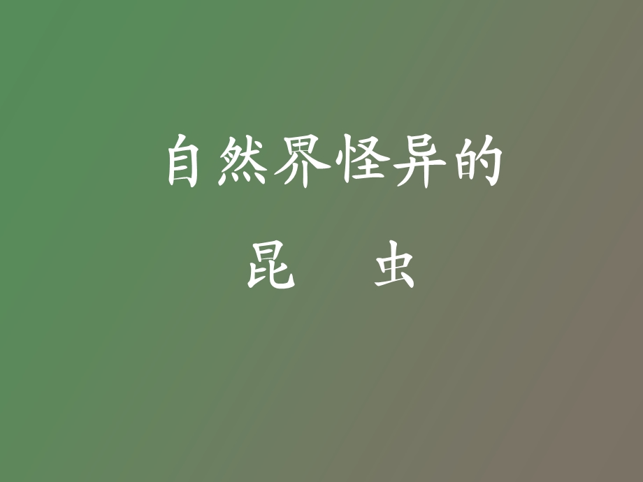 自然界怪异的昆虫.ppt_第1页