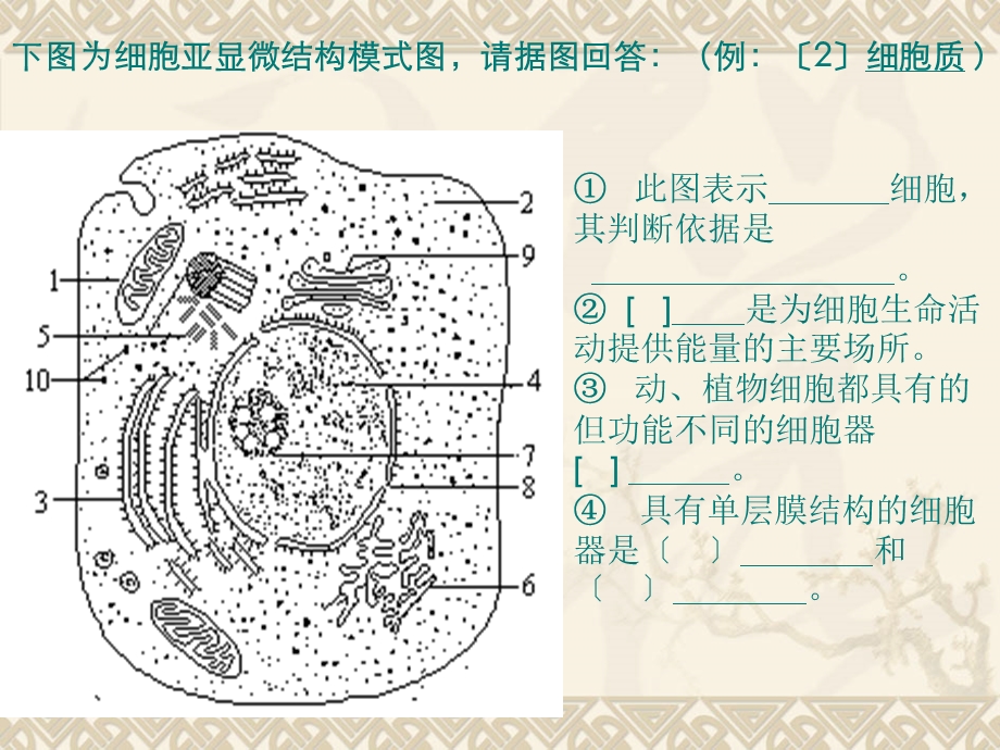 细胞核系统的控制中心课件新人教版必修.ppt_第2页