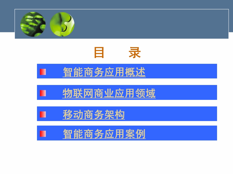 物联网在智能商务领域的应用分析.ppt_第2页