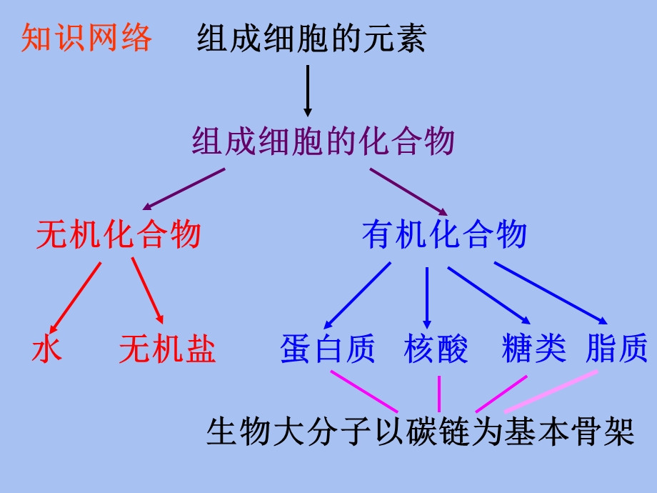 细胞的元素和无机盐.ppt_第2页