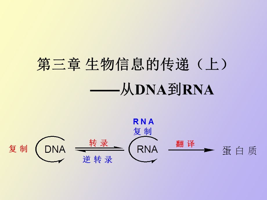 现代分子生物学生物信息的传递上复制.ppt_第1页