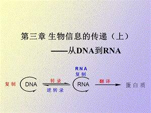 现代分子生物学生物信息的传递上复制.ppt