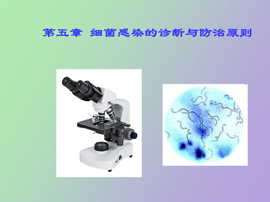 细菌检查方法与防治.ppt_第1页