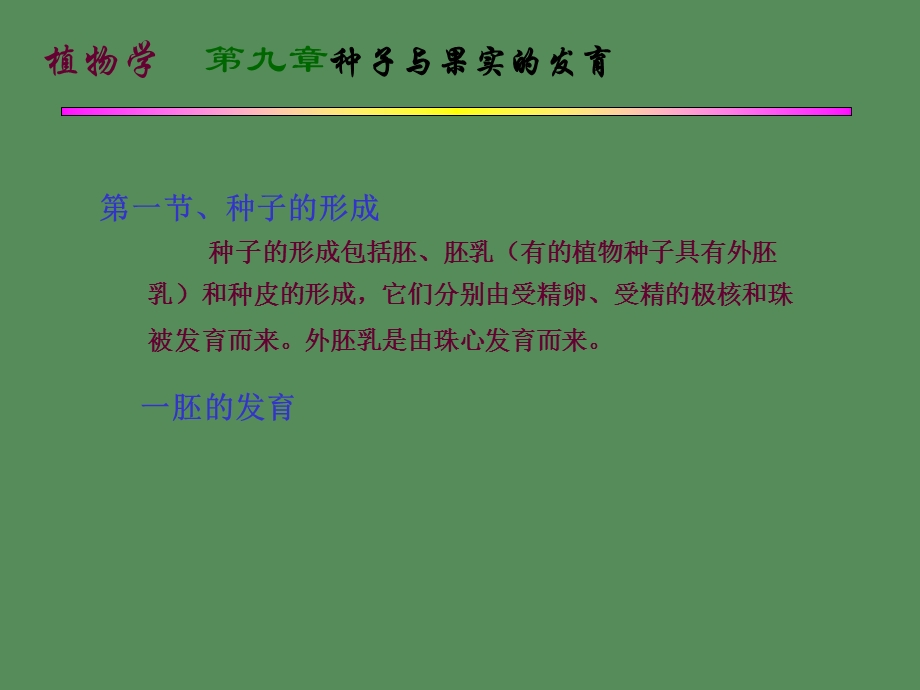 种子与果实的发育.ppt_第1页