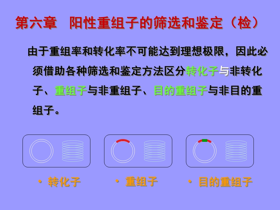 目的重组子的筛选与鉴定.ppt_第1页