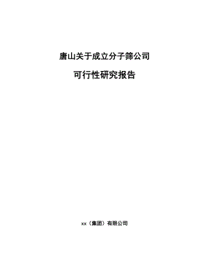 唐山关于成立分子筛公司可行性研究报告.docx