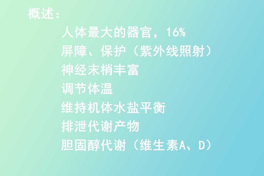 组织学与胚胎学之皮肤.ppt_第3页