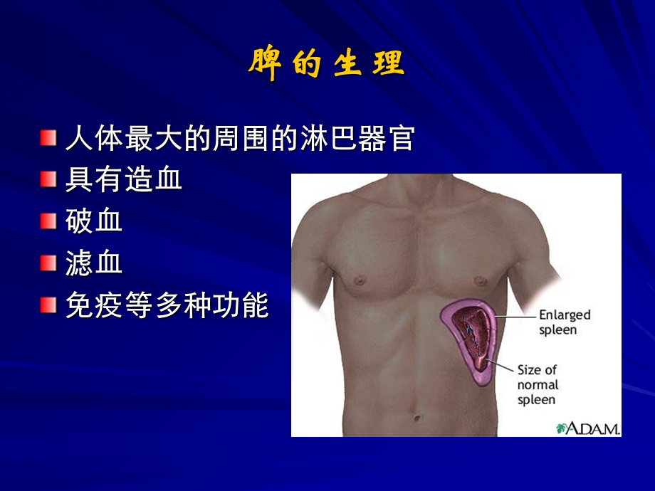 脾脏疾病影像学检查及诊断.ppt_第3页