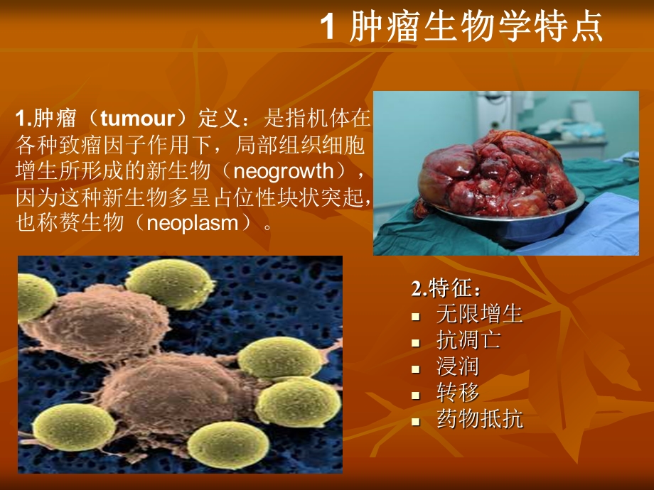 肿瘤微环境与肿瘤关系的研究.ppt_第3页