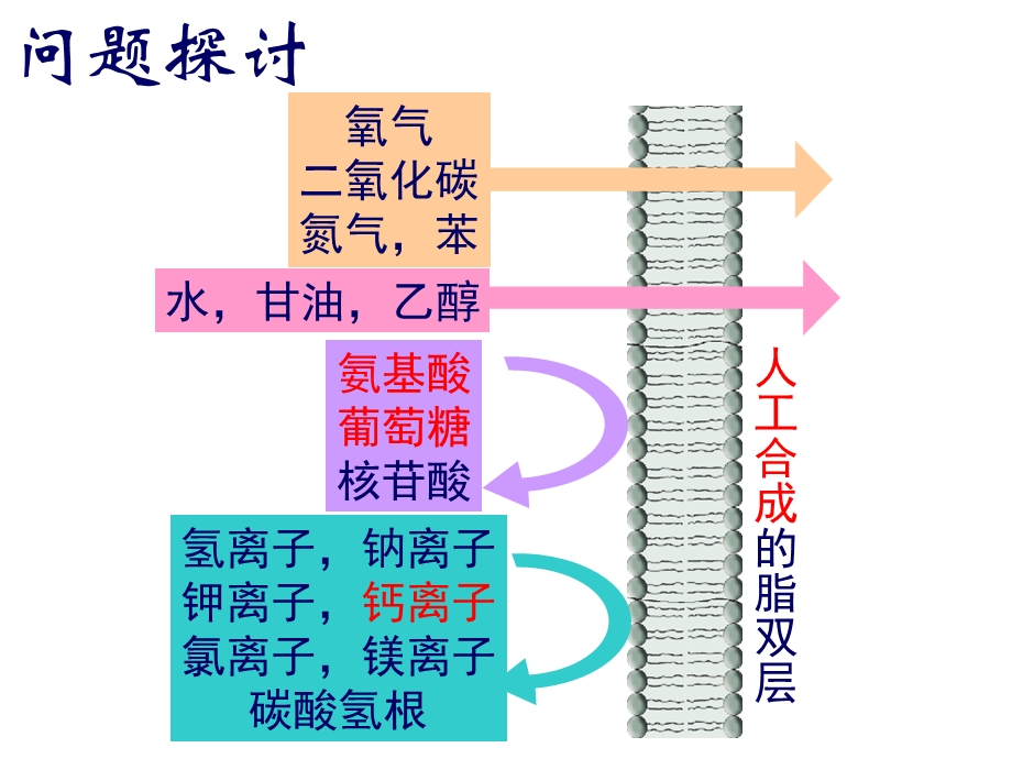 物质跨膜运输的方式fj.ppt_第3页