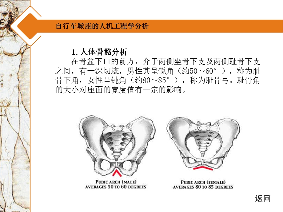 自行车鞍座的人机工程学分析.ppt_第2页