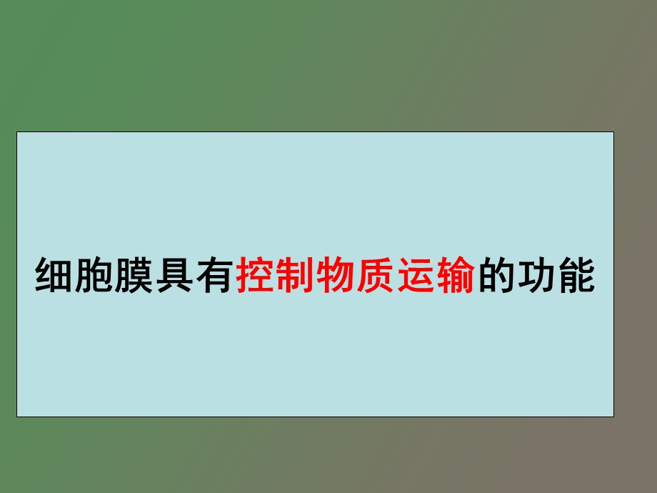 物质运输的方式.ppt_第1页