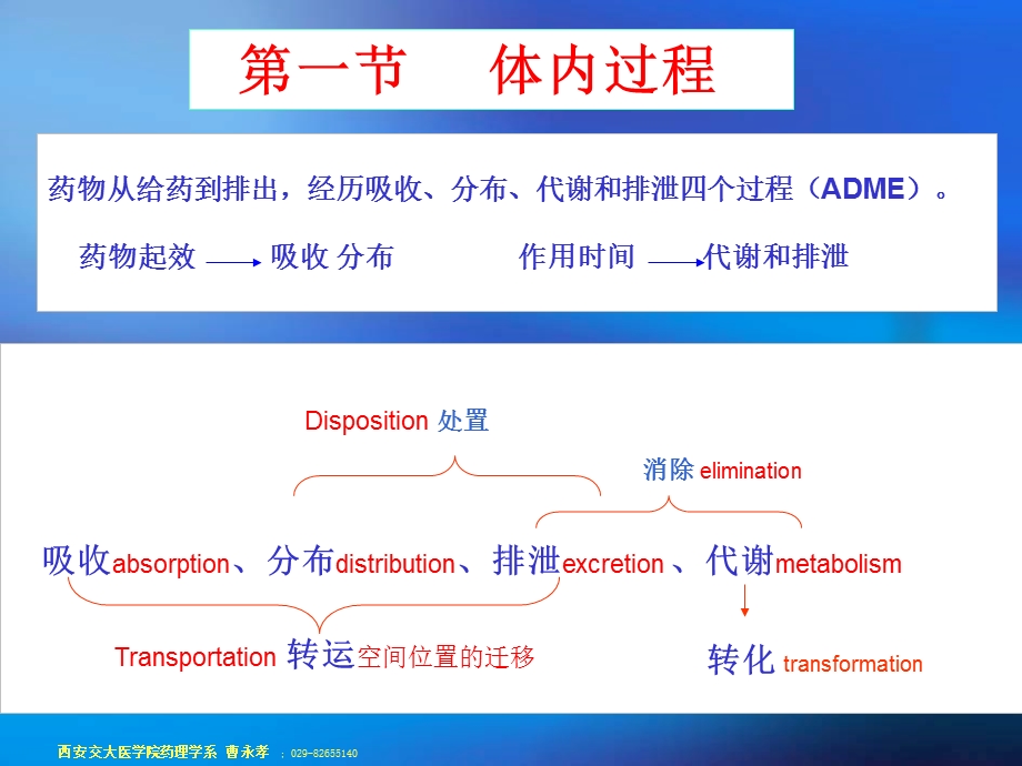 药物代谢动力学第一节.ppt_第3页