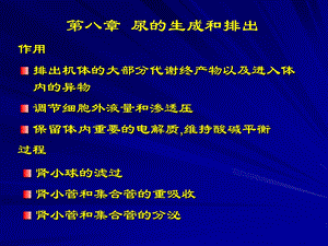 第八章尿的生成和排出.ppt