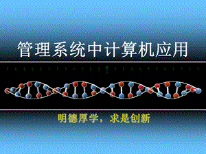 管理信息系统的开发策略.ppt