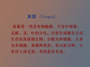 真菌是一类具有细胞壁.ppt