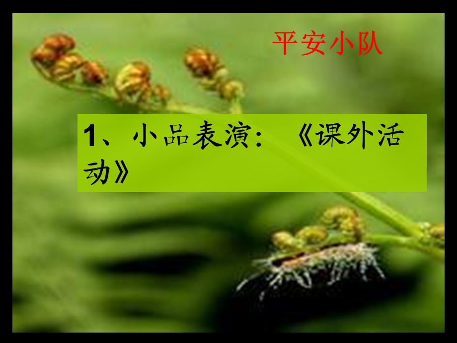 珍爱生命注意安全.ppt_第2页