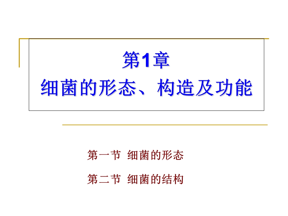 细菌总论-形态、结构、生长繁殖.ppt_第2页