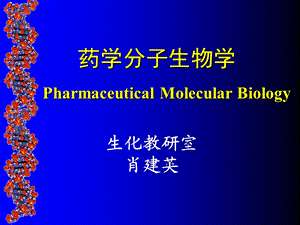 药学分子生物学PharmaceuticalMolecularBiology.ppt