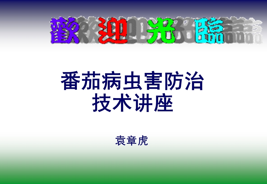 番茄病虫害防治方案.ppt_第1页