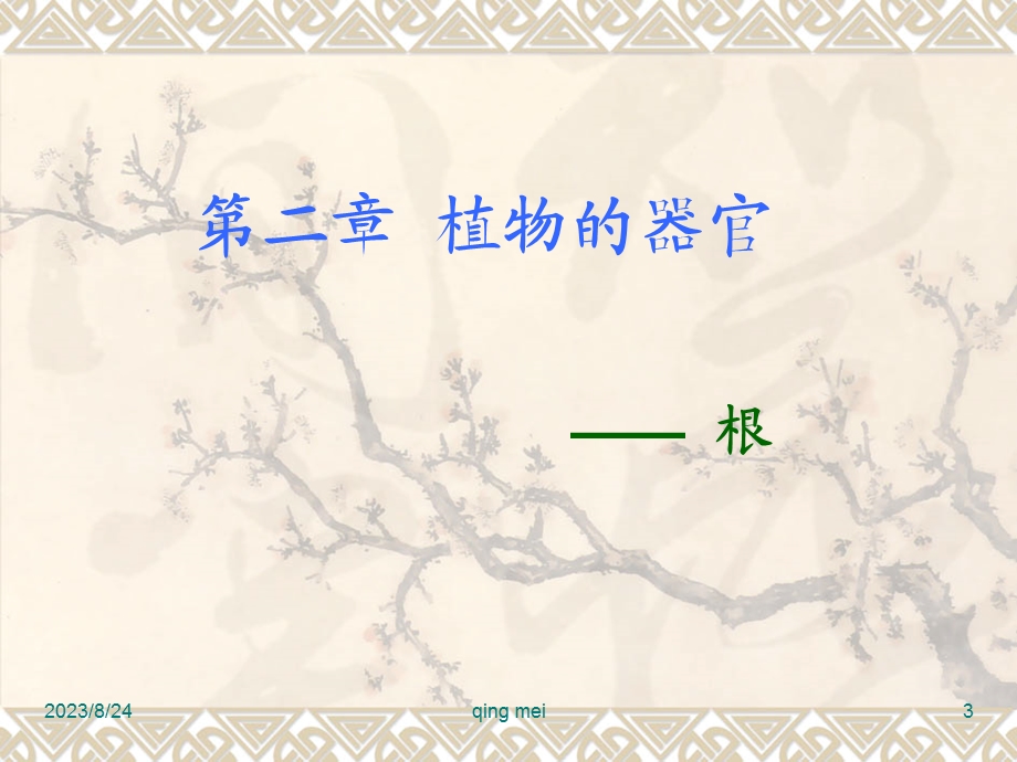 药用植物学与生药学-04根.ppt_第3页